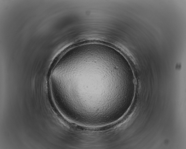 X0000094770782200711241316