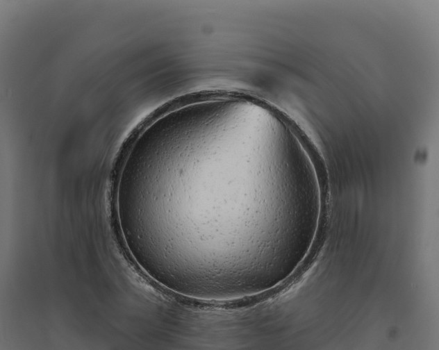 X0000094770783200711241316