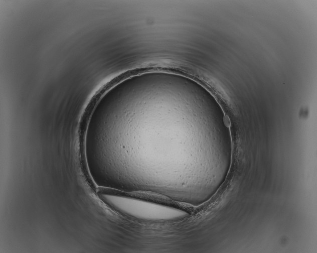 X0000094770784200711241316