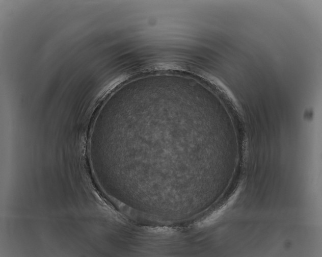 X0000094770785200711241316