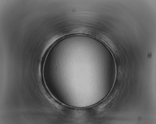 X0000094770788200711241316