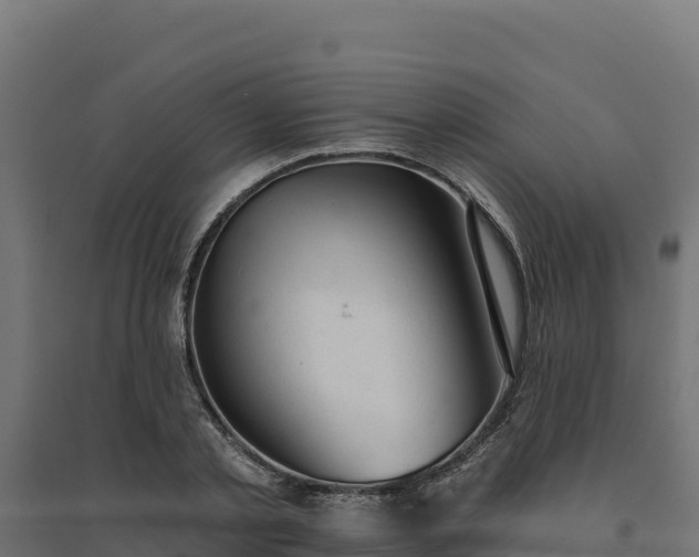 X0000094770789200711241316