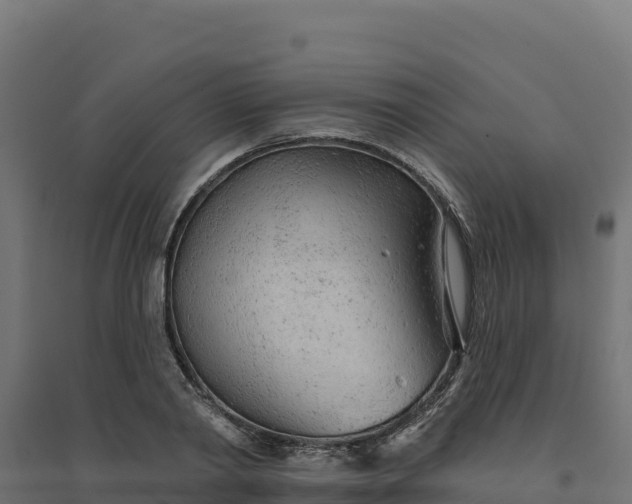 X0000094770790200711241316