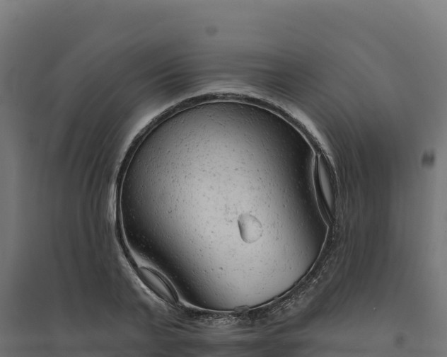 X0000094770791200711241316