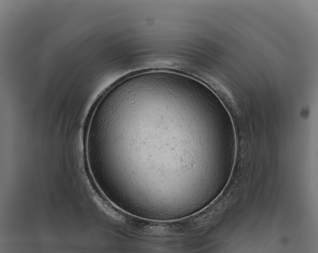 X0000094770792200711241316