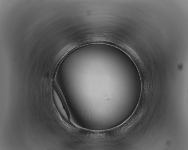 X0000094770793200711241316