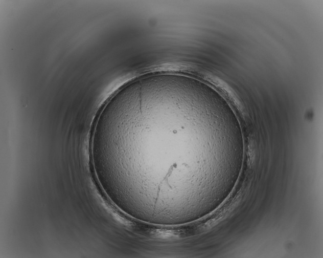 X0000094770794200711241316