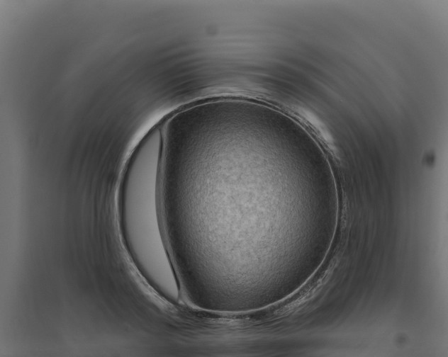 X0000094770796200711241316