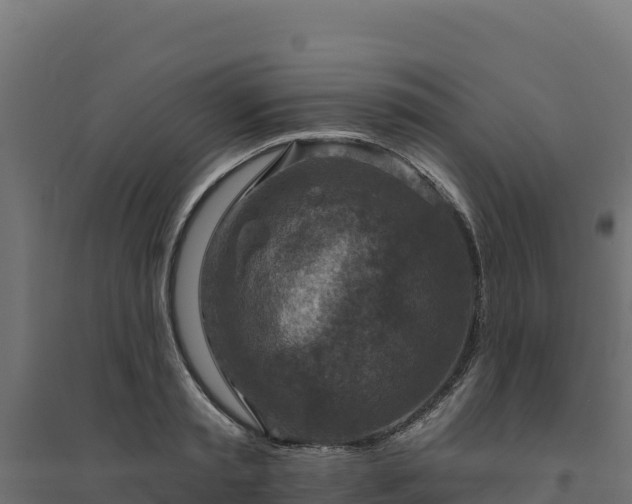 X0000094770797200711241316