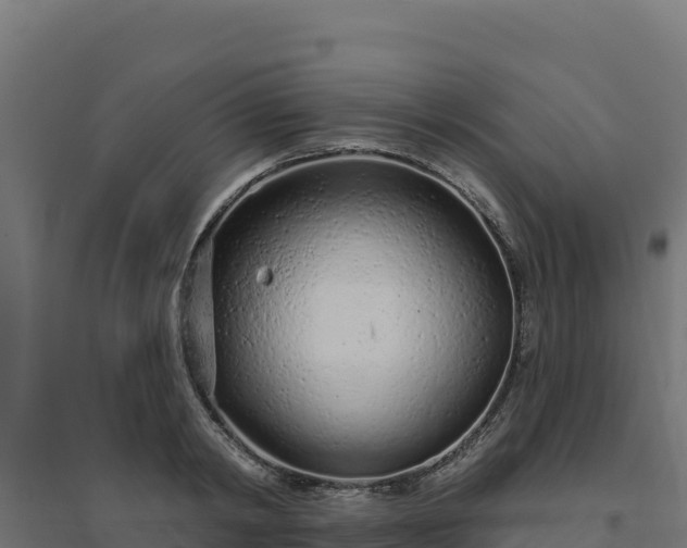 X0000094770798200711241316