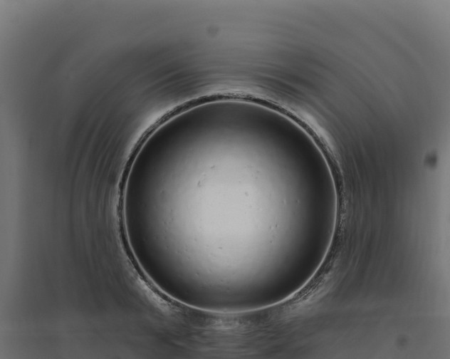 X0000094770799200711241316