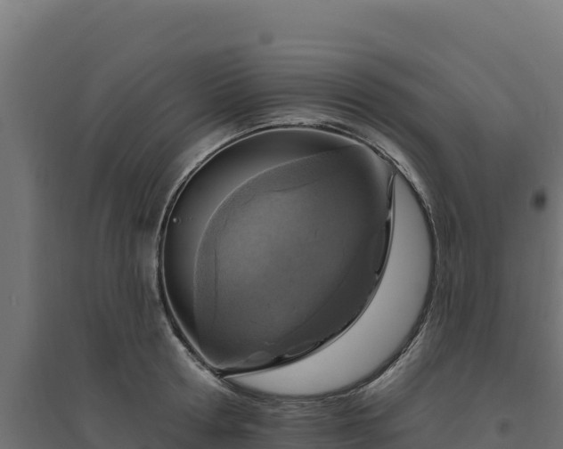 X0000094770802200711241315