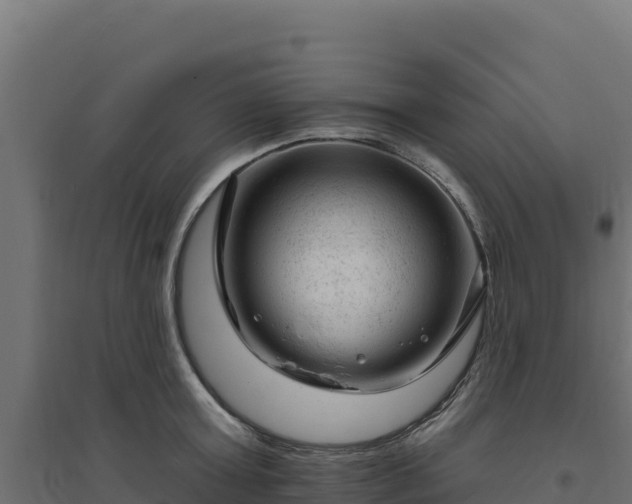 X0000094770803200711241315