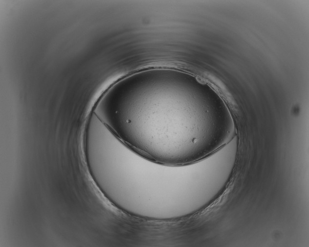 X0000094770804200711241315