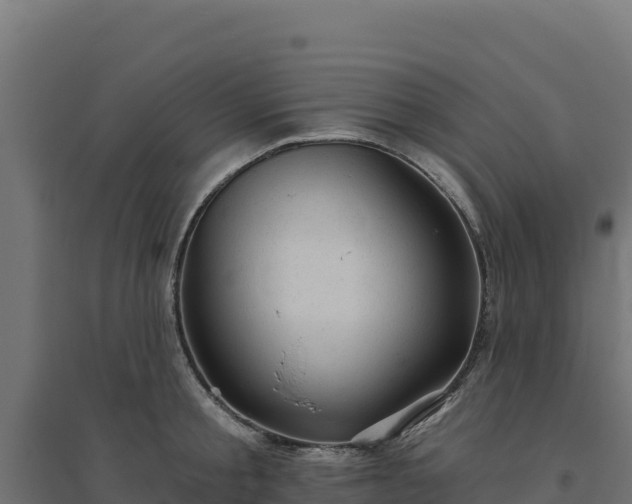 X0000094770805200711241315