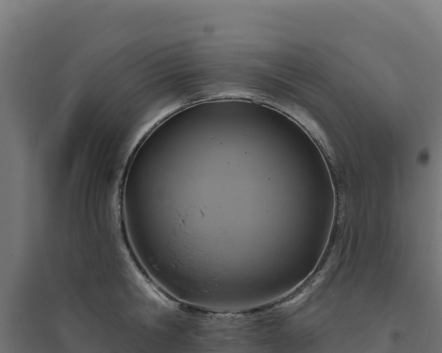 X0000094770806200711241315