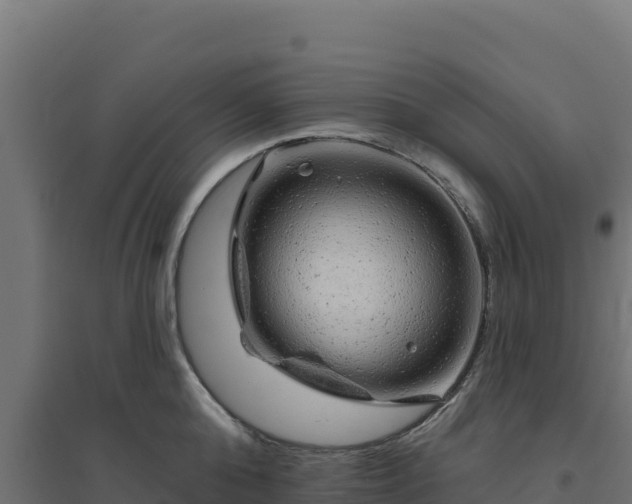 X0000094770808200711241315