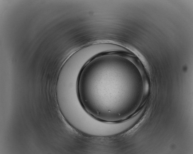 X0000094770809200711241315