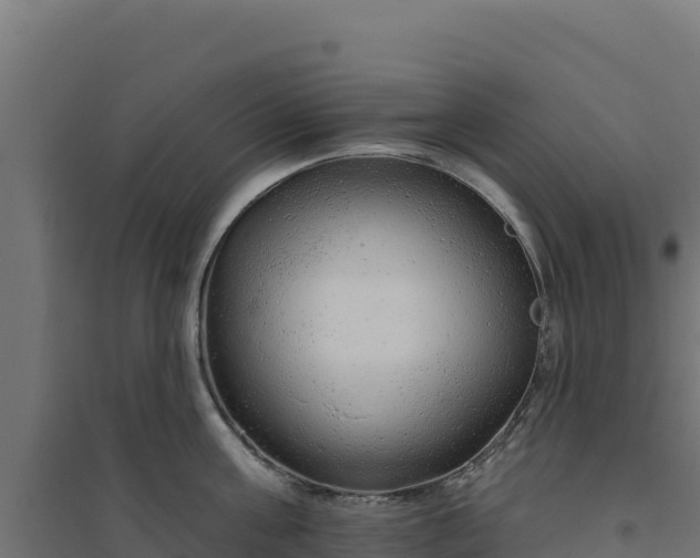 X0000094770811200711241315