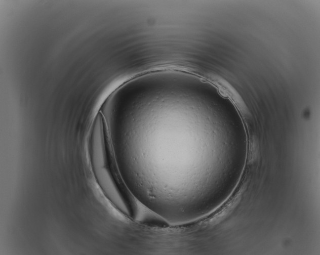 X0000094770812200711241315