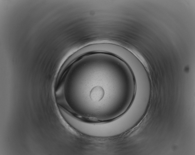 X0000094770813200711241315