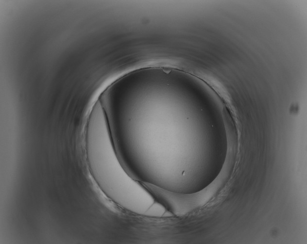 X0000094770816200711241315