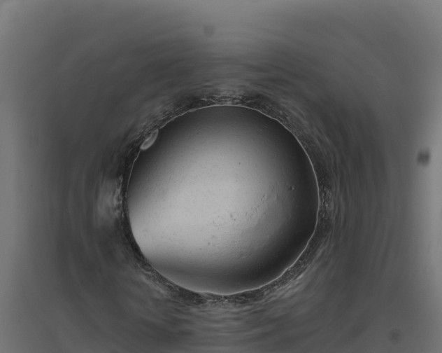 X0000094770818200711241315