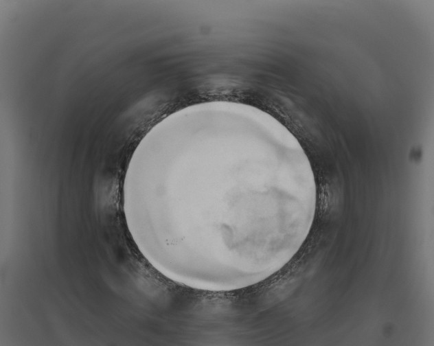 X0000094770820200711241315