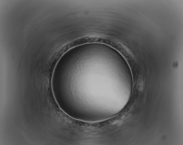 X0000094770821200711241315