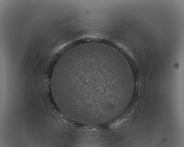 X0000094770822200711241315