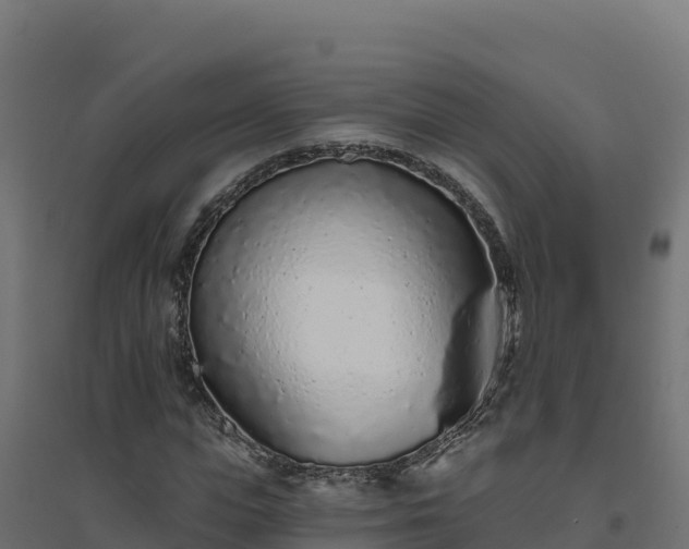 X0000094770823200711241315