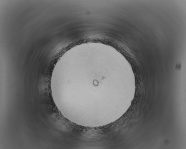 X0000094770824200711241315