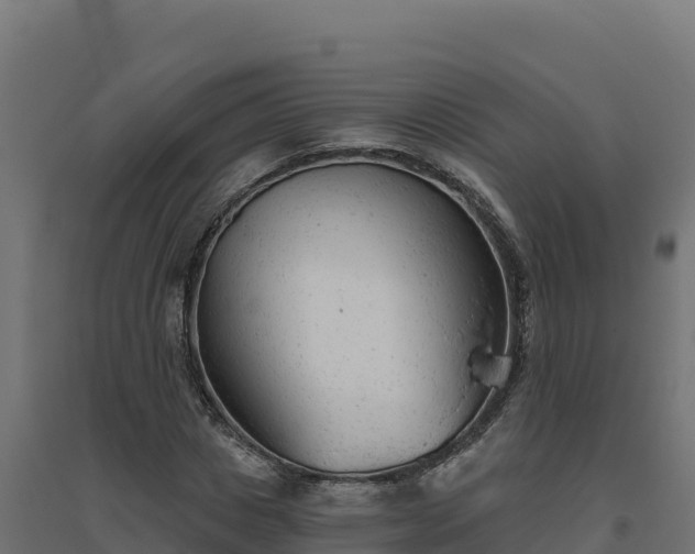 X0000094770825200711241315