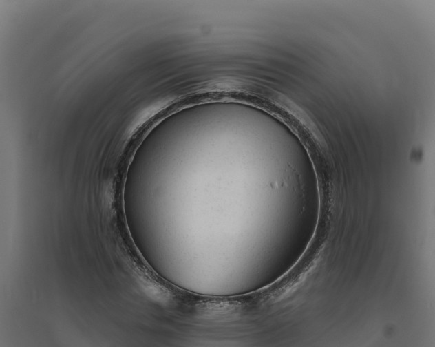 X0000094770826200711241315