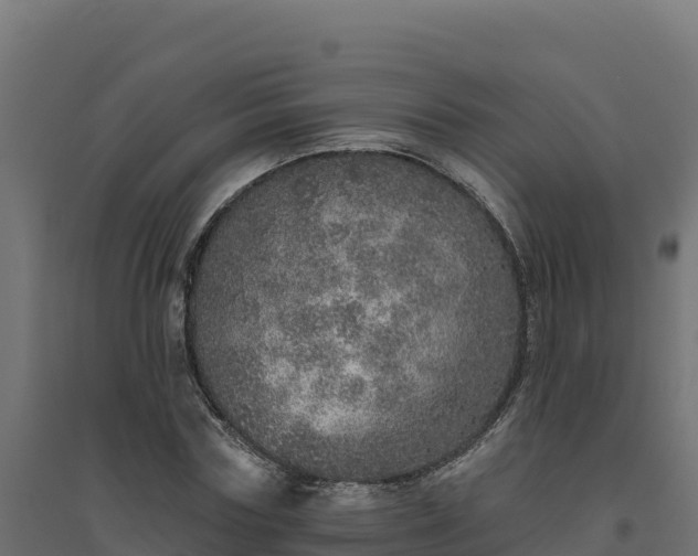 X0000094770827200711241315