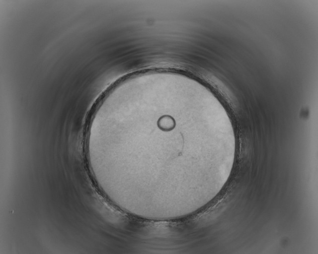 X0000094770828200711241315