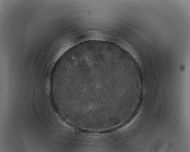 X0000094770829200711241315