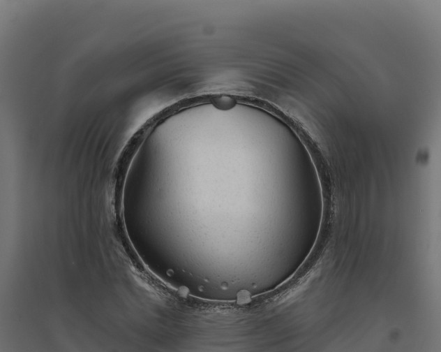 X0000094770830200711241315