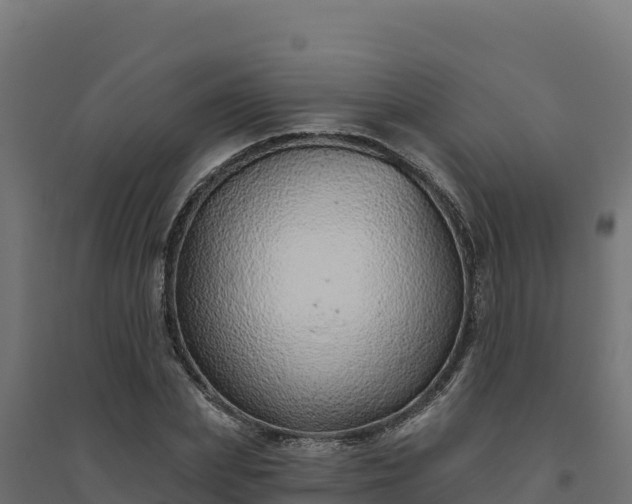 X0000094770831200711241315