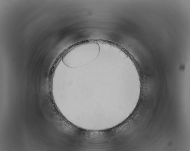 X0000094770832200711241315