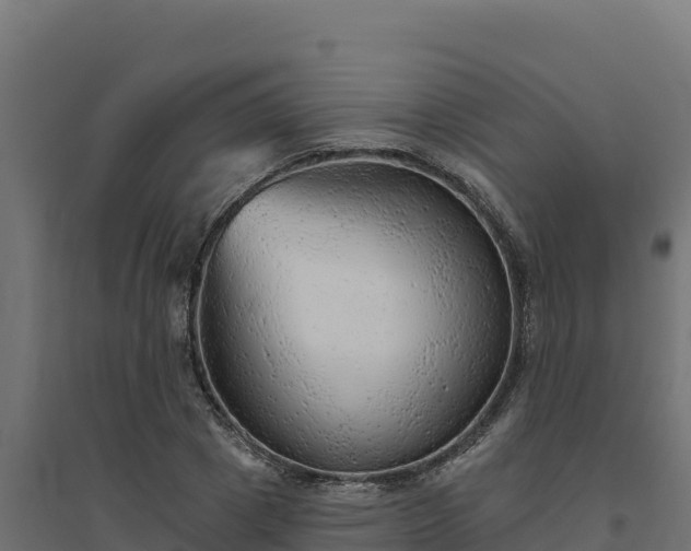 X0000094770833200711241315