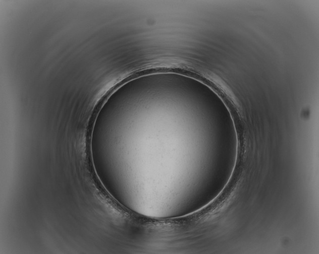 X0000094770834200711241315