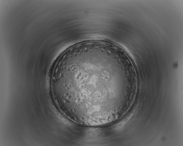 X0000094770835200711241315