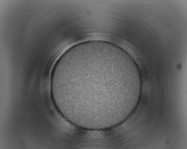 X0000094770836200711241315