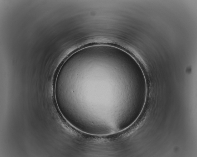 X0000094770837200711241315