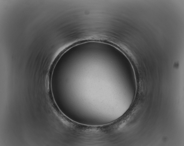 X0000094770838200711241315