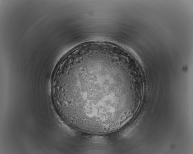 X0000094770839200711241315