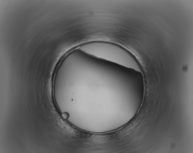 X0000094770840200711241315