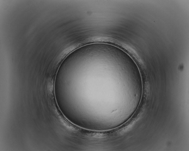 X0000094770841200711241315