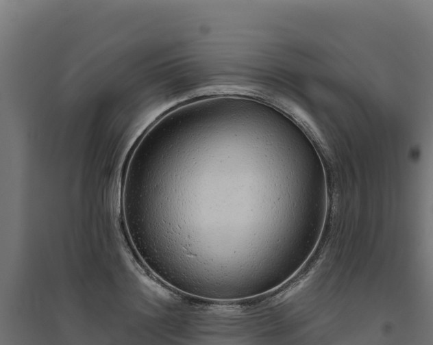 X0000094770844200711241315